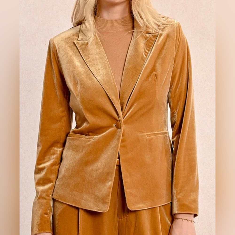 Molly Bracken Velvet Blazer